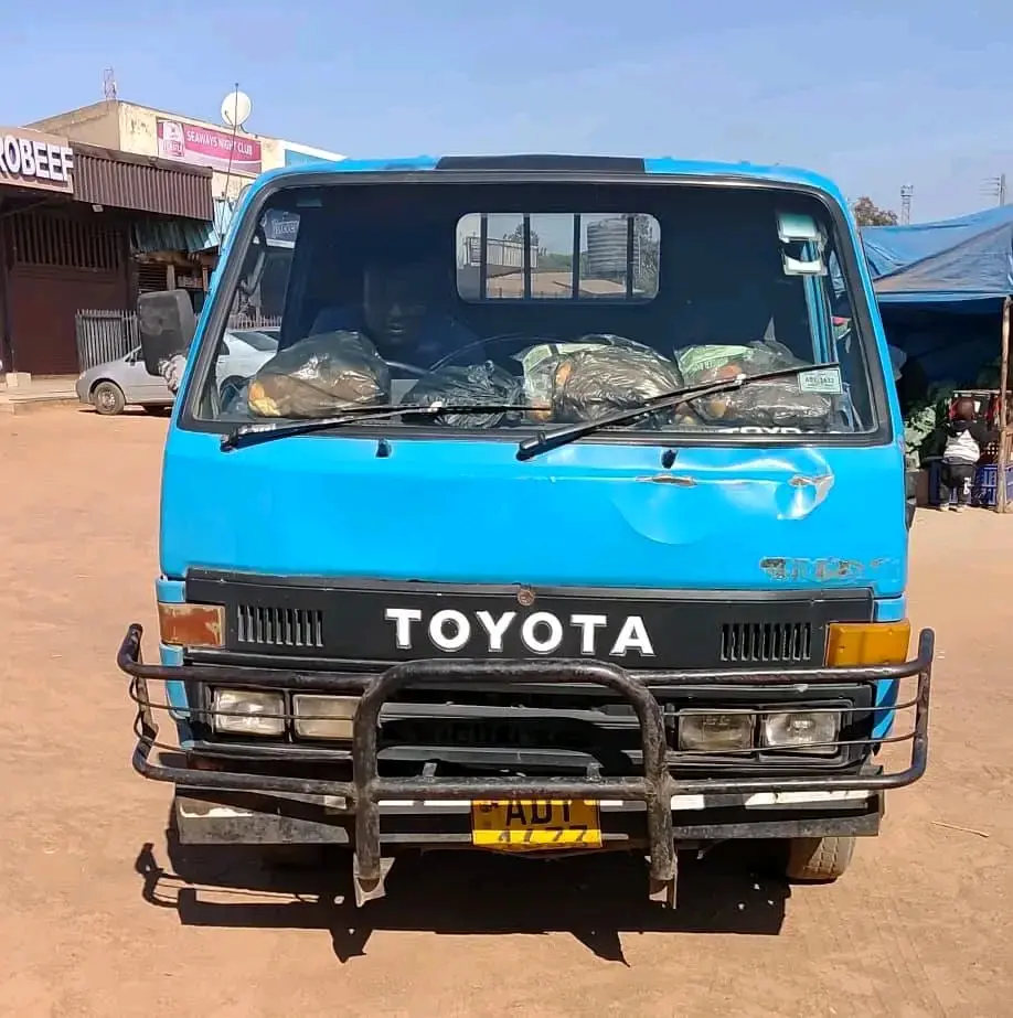 2006 Toyota Dyna